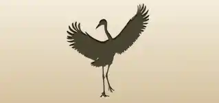 Crane silhouette