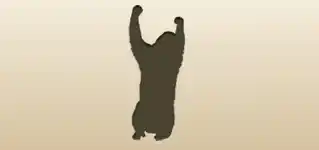 Monkey silhouette