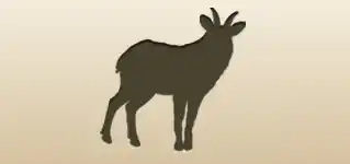Serow silhouette