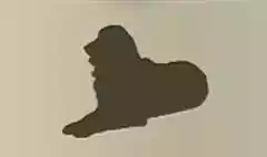 イヌ