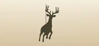 Reindeer