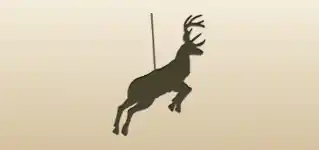 Reindeer