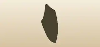 Shield