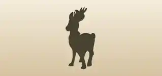 Reindeer