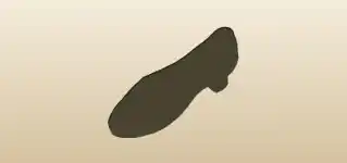 Lady’s Shoe