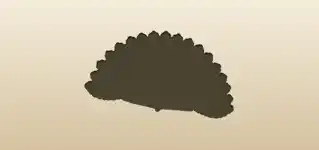 Hand Fan