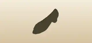 Lady’s Shoe