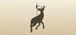Reindeer