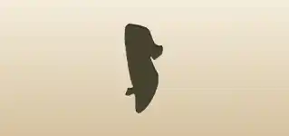 Lady’s Shoe