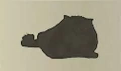 ネコ