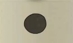 リンゴ