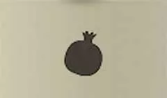 ザクロ