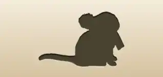 ネコ