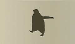 Penguin silhouette