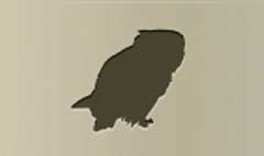 Owl silhouette