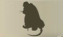 Mouse King silhouette