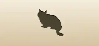 ネコ