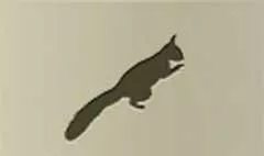 リスのシルエット
