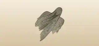 幽霊のシルエット