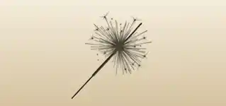線香花火のシルエット