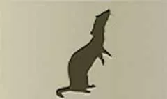 Ferret silhouette