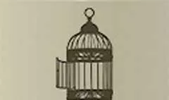 Birdcage silhouette