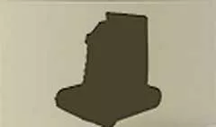 Camera silhouette