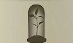 Seeding silhouette