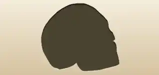 Skull silhouette