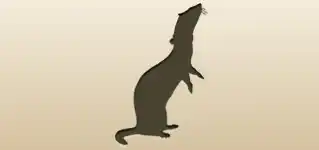Ferret silhouette