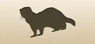 Ferret silhouette