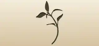 Seedling silhouette