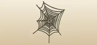 Spider Web silhouette