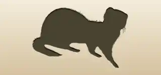 Ferret silhouette