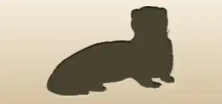 Ferret silhouette