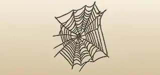 Spider Web silhouette