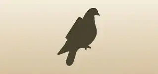 伝書鳩