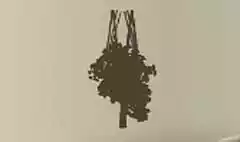 Houseplant