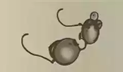 Goggles