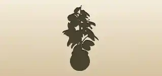観葉植物