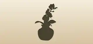 観葉植物