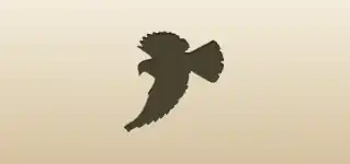 伝書鳩