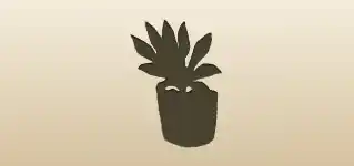 観葉植物