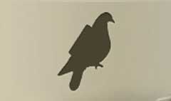 Carrier Pigeon silhouette