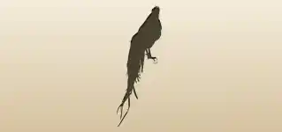 ニワトリ