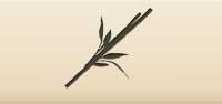 Bamboo silhouette