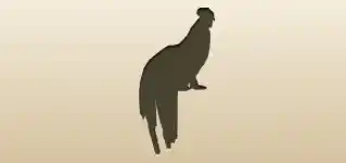 ニワトリ
