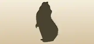 Guinea Pig silhouette