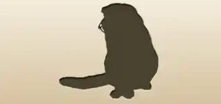 Cat silhouette