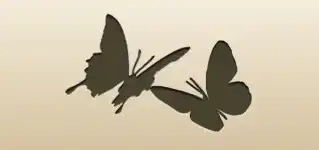 Butterflies silhouette